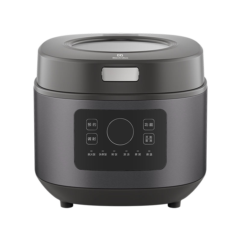 伊莱克斯（Electrolux）微电脑电饭煲600W EGRC-6110（单位：台） 深灰色